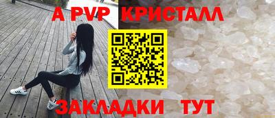 a pvp Свободный