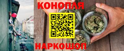 a pvp Свободный