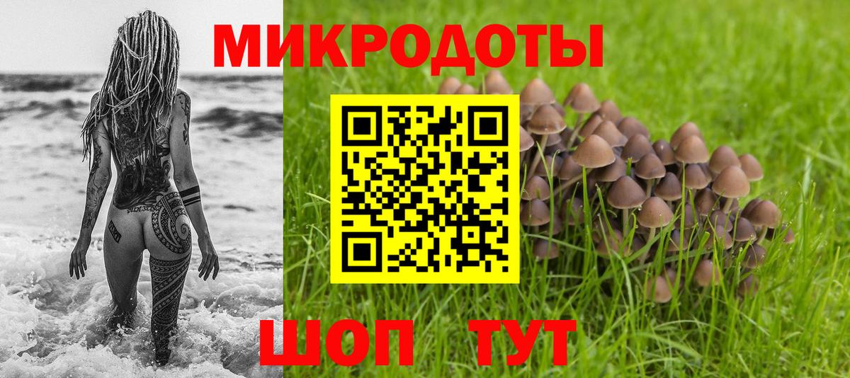 Электрогорск  Галлюциногенные грибы ЛСД  Вход с VPN 